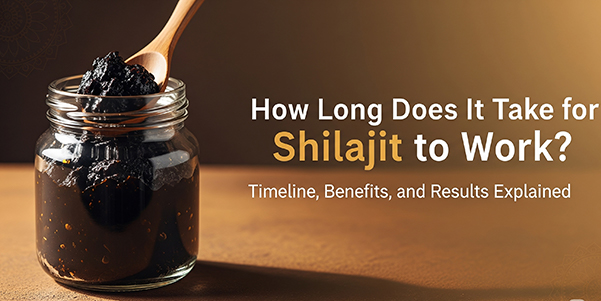 How Long Does It Take for Shilajit to Work: What to Expect