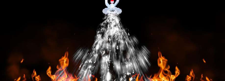 Fire Solutions Nw Cover Image