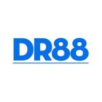 DR88 Profile Picture