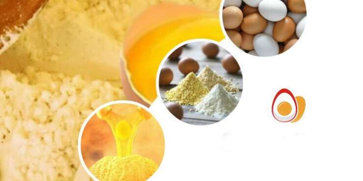 Whole Egg Powder Manufacturing Plant Report 2025: Industry Trends, Setup Cost and Raw Materials Requirement