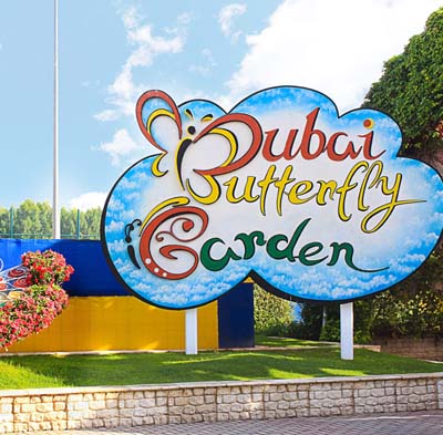 Dubai Butterfly Garden Tickets | Best Offer & Price