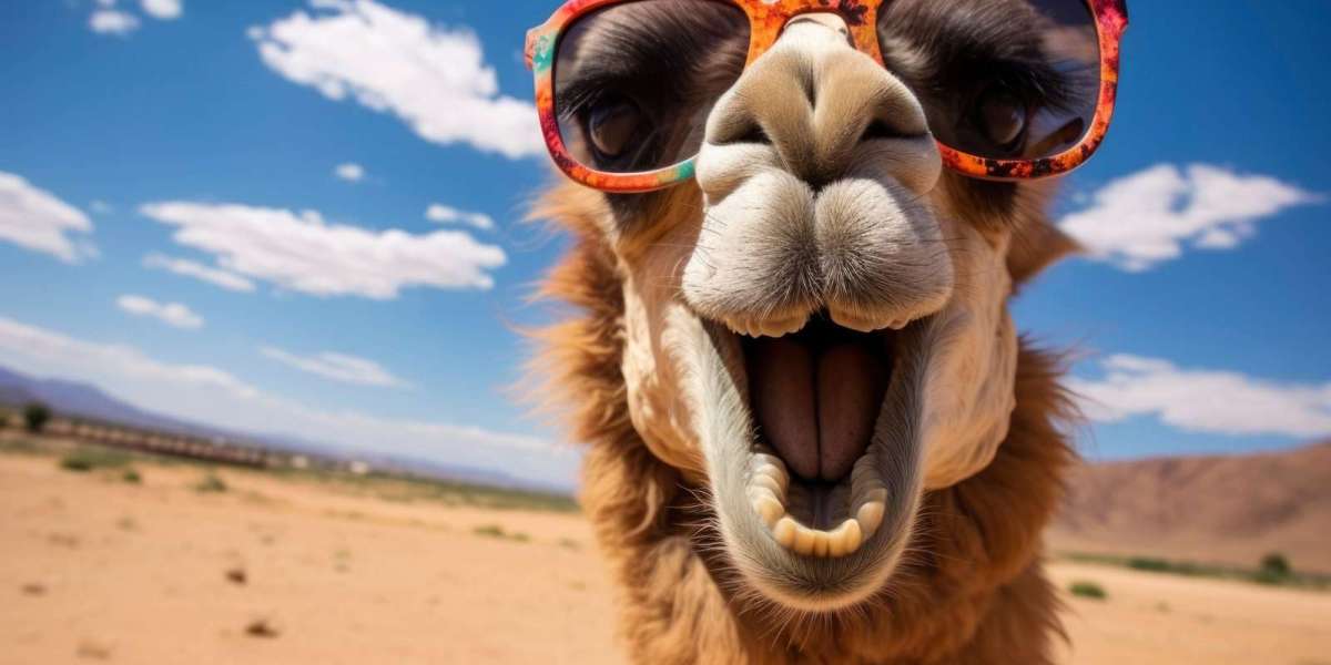 Explore Dubai the Smart Way — The Benefits of Booking with a Top Tourism Company like RahTours