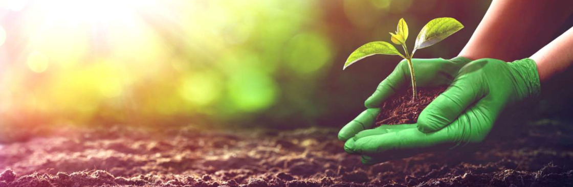 MDS Associates Inc. Cover Image