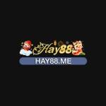 HAY88 Profile Picture