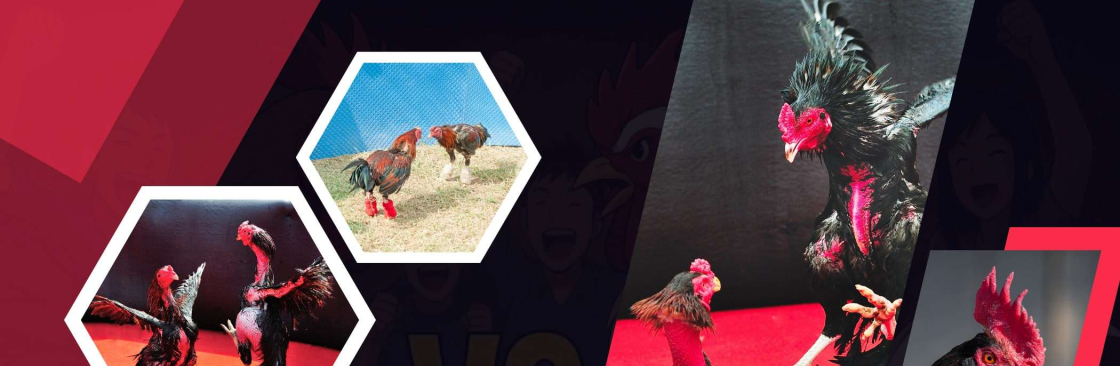 Axis 138 Cover Image