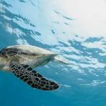 ‪Sà3id Samir‬‏ Profile Picture