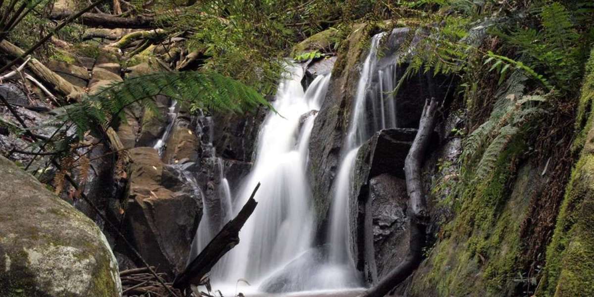 Airbnb Property Management in The Dandenongs & Short-Term Rental Property Management in Yarra Valley — Why Yarra Ran