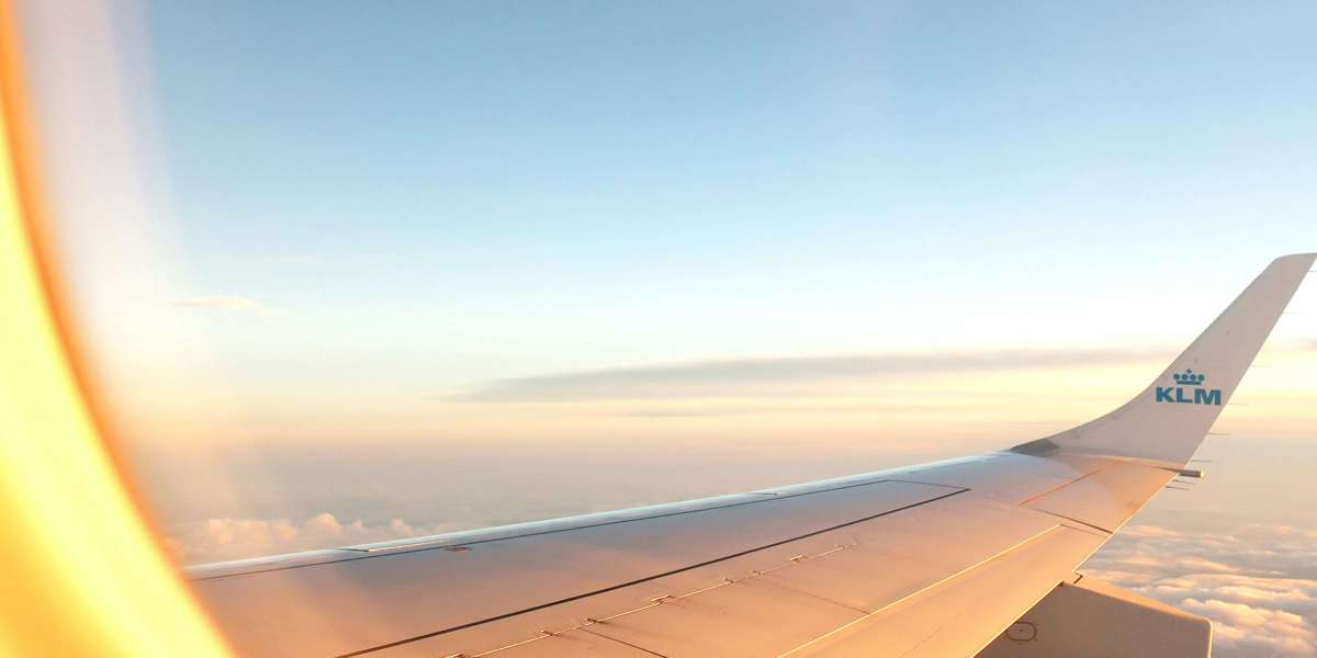 Southwest Airlines Pet Policy (2026): Essential Tips for Stress-Free Pet Travel