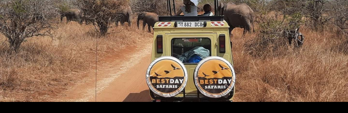 Bestday Safaris Cover Image