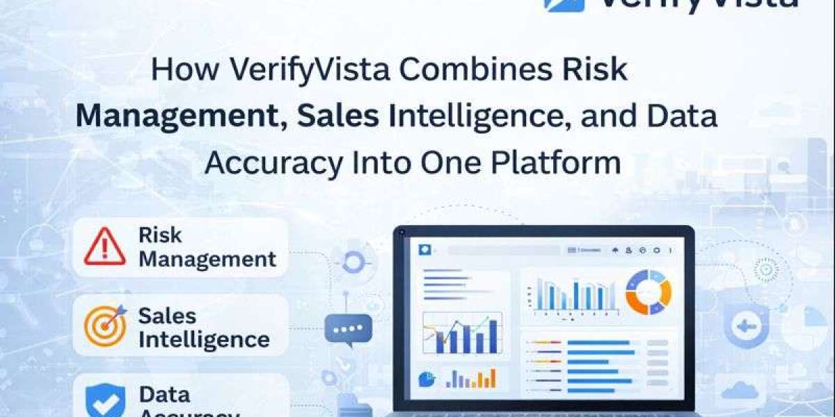 How VerifyVista Combines Risk Management, Sales Intelligence, and Data Accuracy Into One Platform