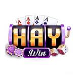 HAYWIN Đánh Giá Nhà Cái Casino Profile Picture
