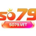 so79vet profile picture