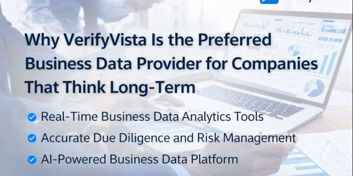 Why VerifyVista Is the Preferred Business Data Provider for Companies That Think Long-Term