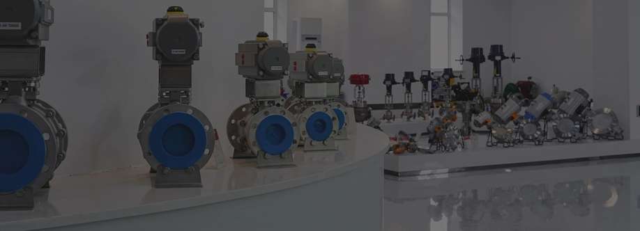 sunyeh valve Cover Image