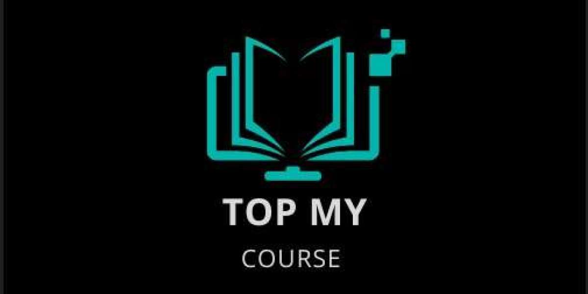 Strategies for Excelling in Doctoral Nursing Coursework