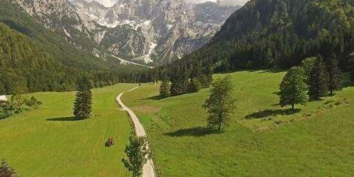 Bet9ja Success Stories: December 22, 2025 – How Winners Turned Small Stakes Into Millions