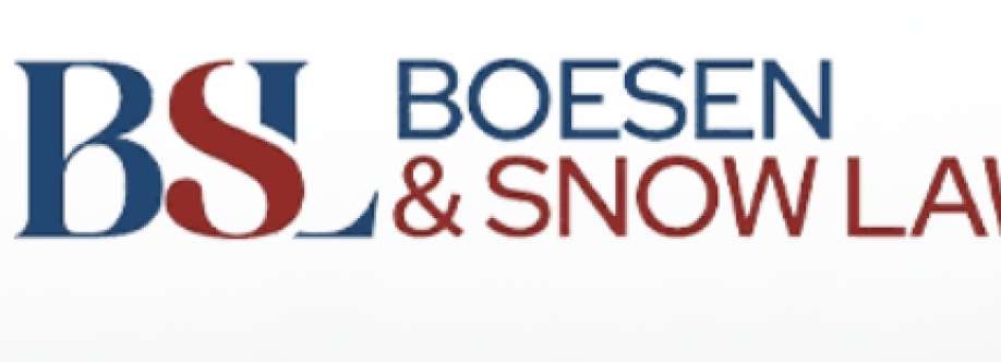 Boesen Snow Law Cover Image