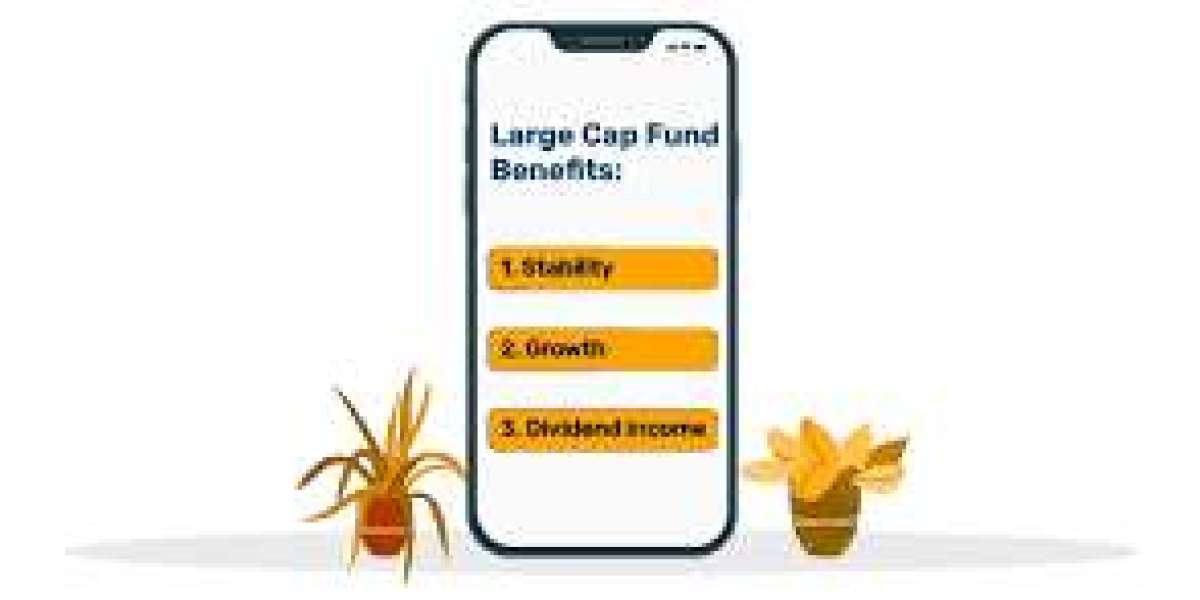 Large Cap Fund: Stability and Growth for Long-Term Investors