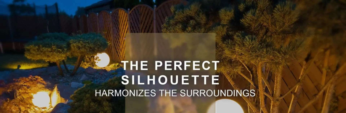 hydget light Cover Image