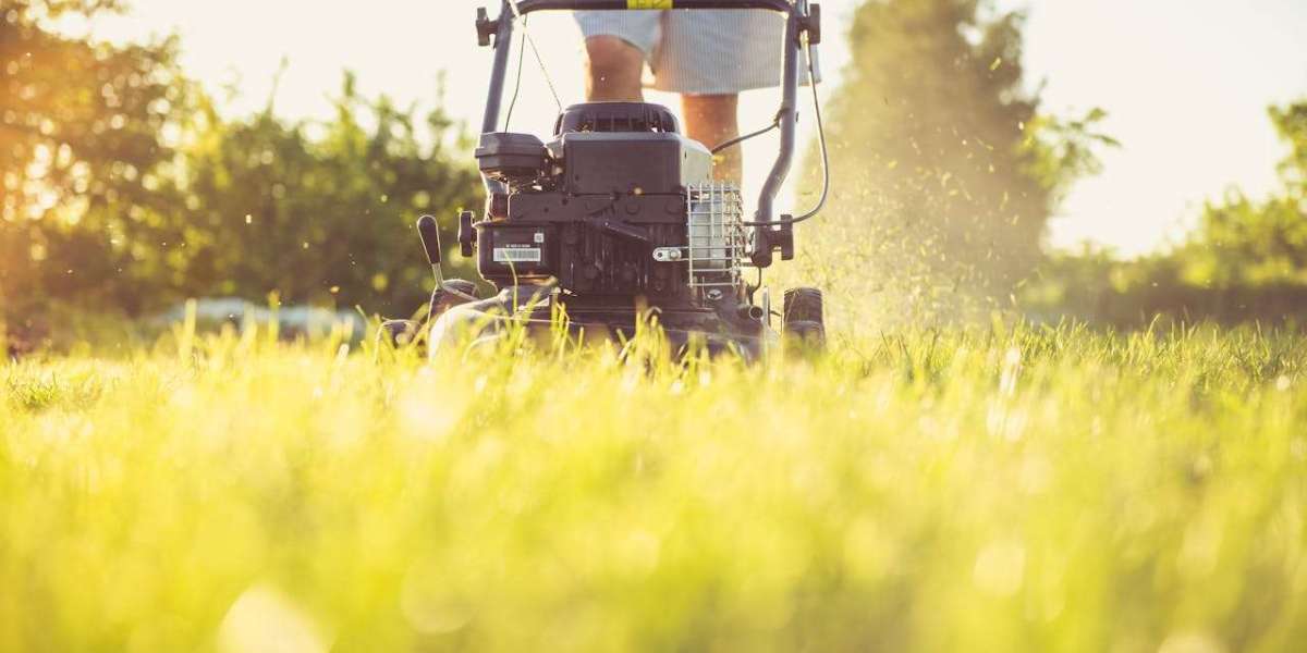Key Benefits of Reliable Weed Control Services for Home Lawns