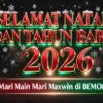 Bemo88 Bemo88 Profile Picture