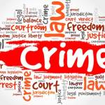 Skier Firmlaw Profile Picture