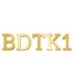BDTK1 Profile Picture