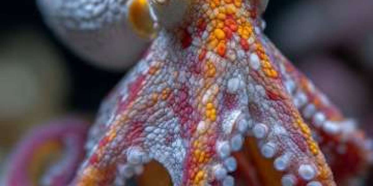 pure casinopure casinopure casino