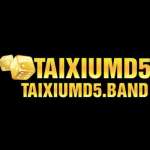 taixiumd5 band Profile Picture