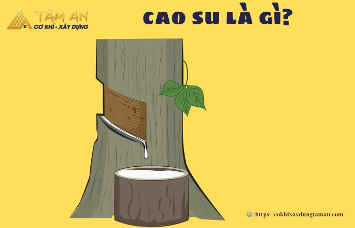 Cao su là gì? Ứng dụng của cao su trong đời sống và sản xuất