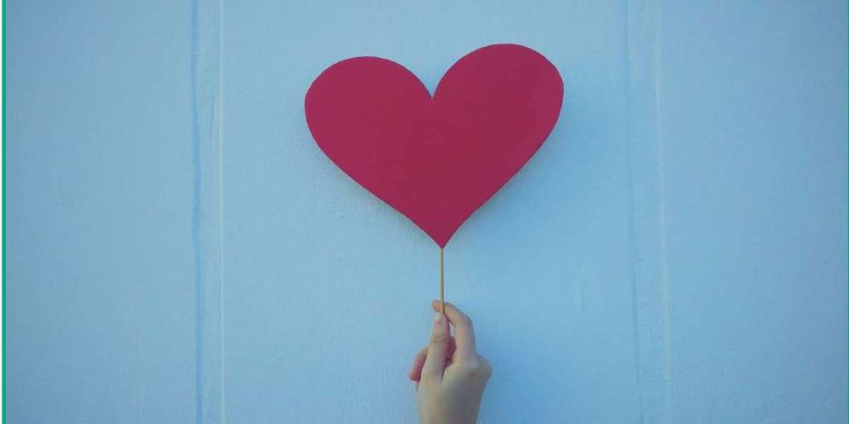 How Can Gardeners Build Strong Plant Care Routines That Actually Work?