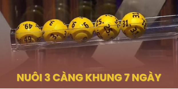 Nuôi 3 càng khung 7 ngày - Dàn đề 3 càng nuôi tuần bất bại