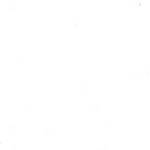 wahedok433 Profile Picture