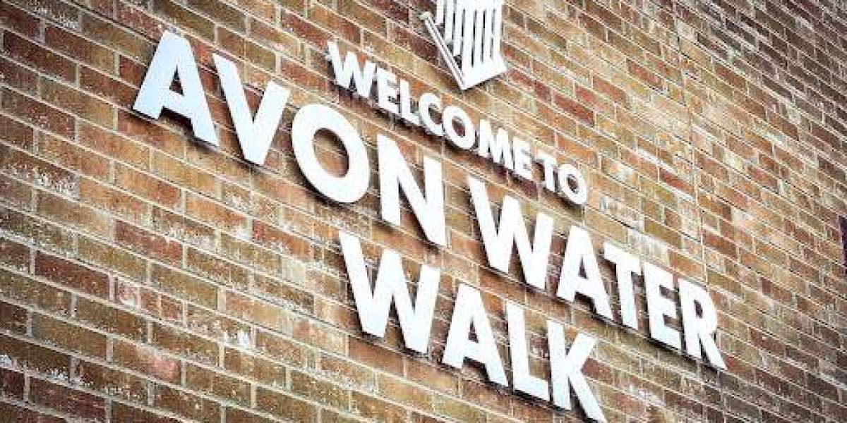 Transform Your Space with Window Graphics and Branded Wall Designs