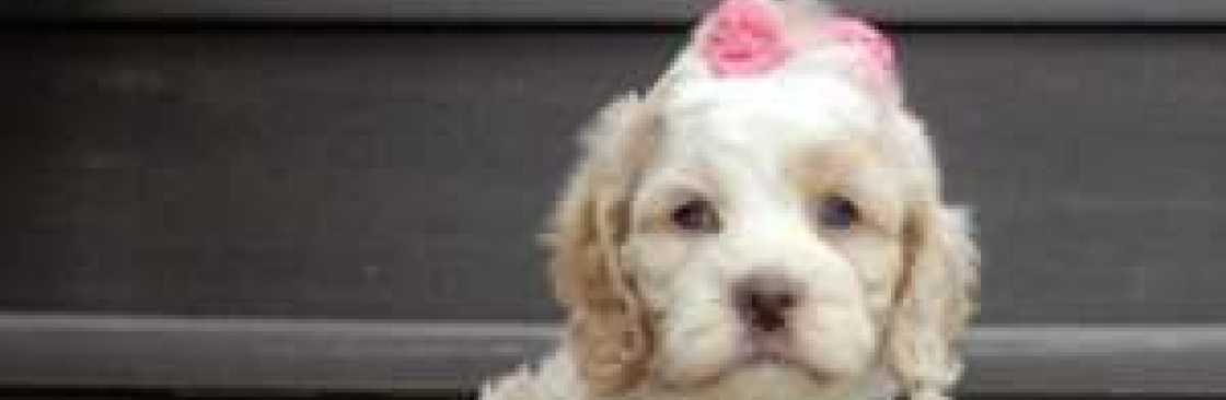 Puppy Love Paradise Cover Image