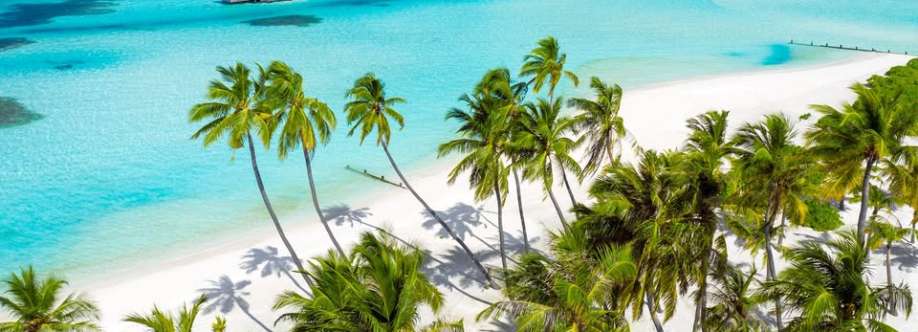 Sue Kang Cover Image