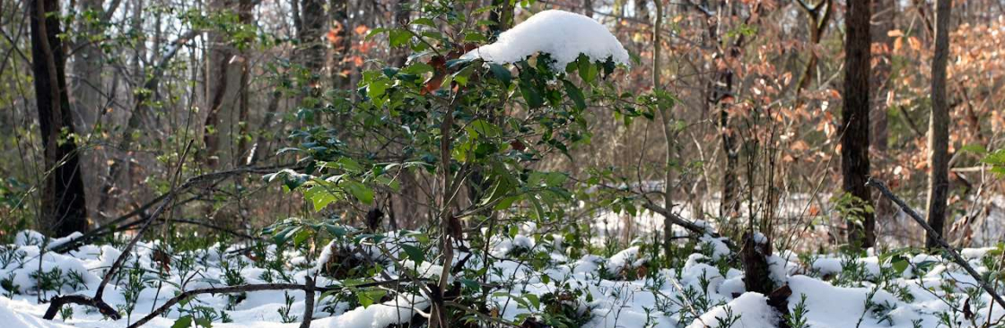 alexanderrogge Cover Image