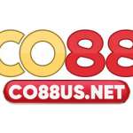 CO88 Trải nghiệm game đẳng cấp quốc t Profile Picture