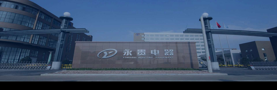 yonggui electric Cover Image