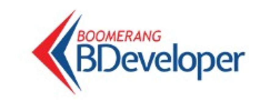 Boomerang BDeveloper Cover Image