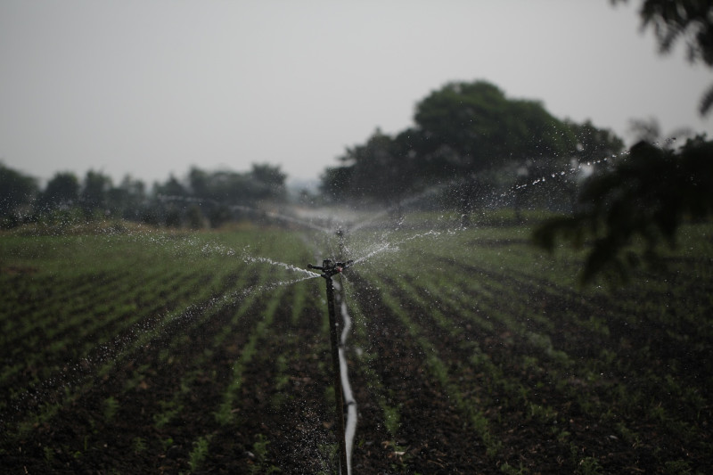 Expert Irrigation Design Consultants in California for Efficient Water Systems: irridesigns — LiveJournal