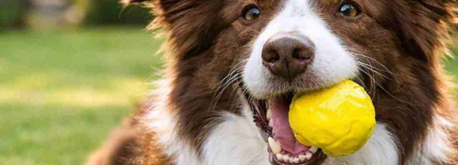 Lusa Life Cover Image