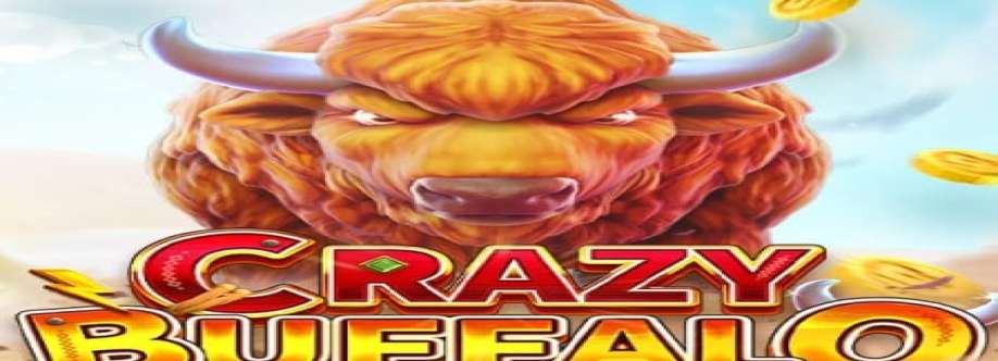 boiadeira Cover Image