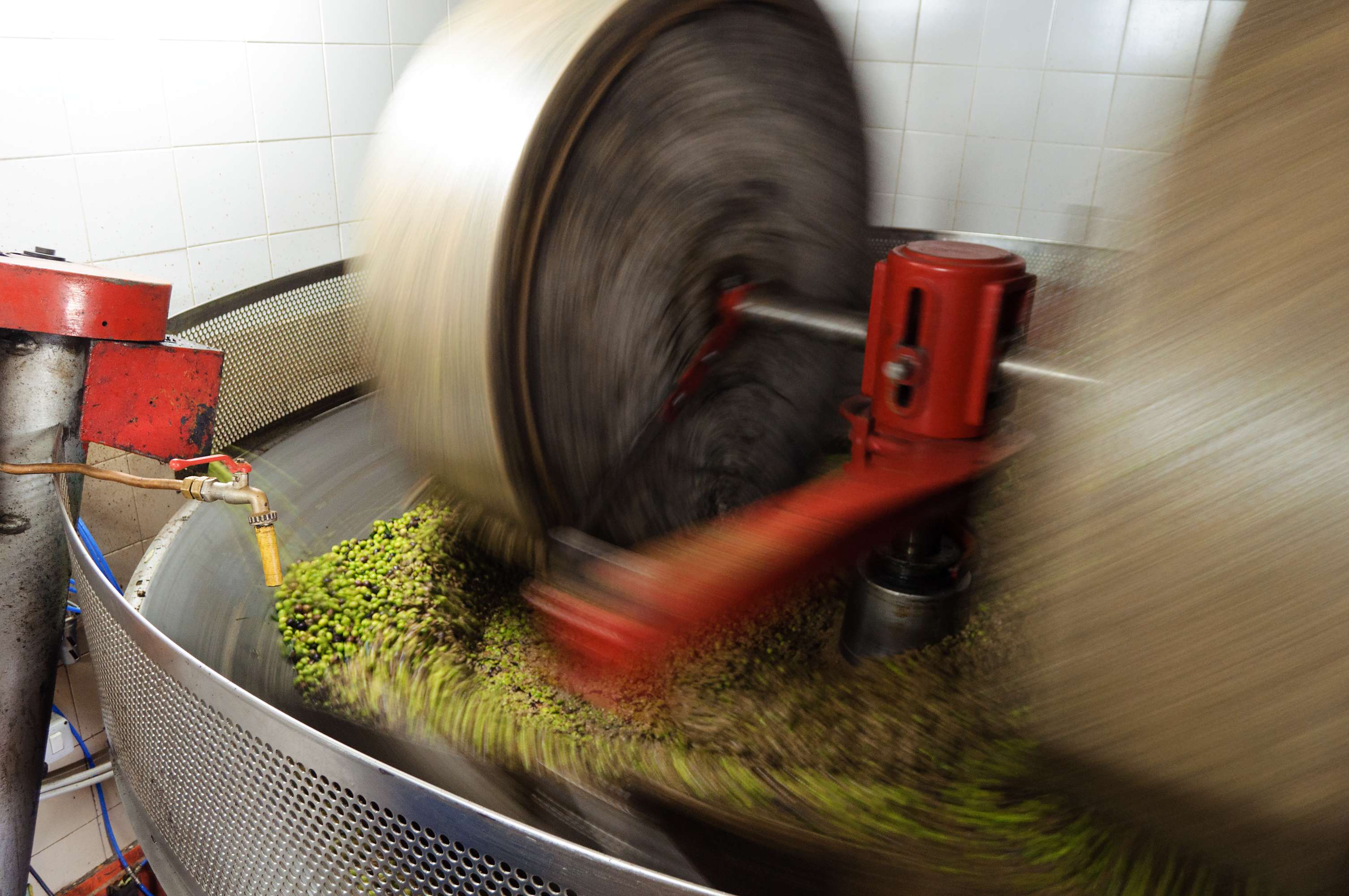 Wholesale olive oil Profile Picture