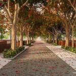 Century Tisora Profile Picture