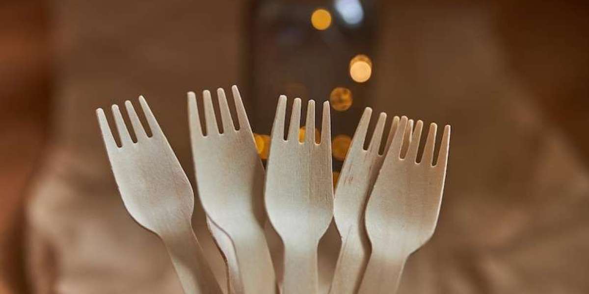 Capital Costs Involved in Setting Up a Bagasse Based Biodegradable Cutlery Manufacturing Plant