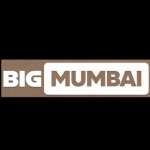 Big Mumbai Game Profile Picture