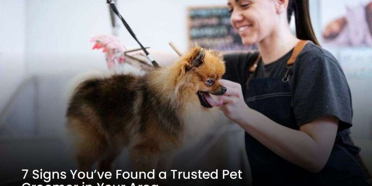 7 Signs You’ve Found a Trusted Pet Groomer in Your Area