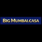 Big Mumbai Game Profile Picture