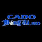 Cá Độ Bóng Đá Profile Picture